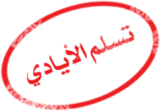 شحاتة يرفض طلب عمرو زكى المشاركة فى كأس الأمم بـ«الكورتيزون» 294513